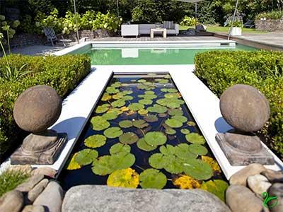 Биобассейны