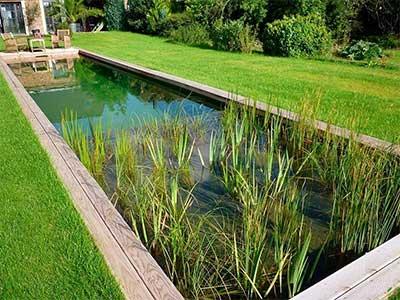 Экологический бассейн