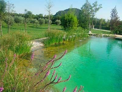 Био-бассейн