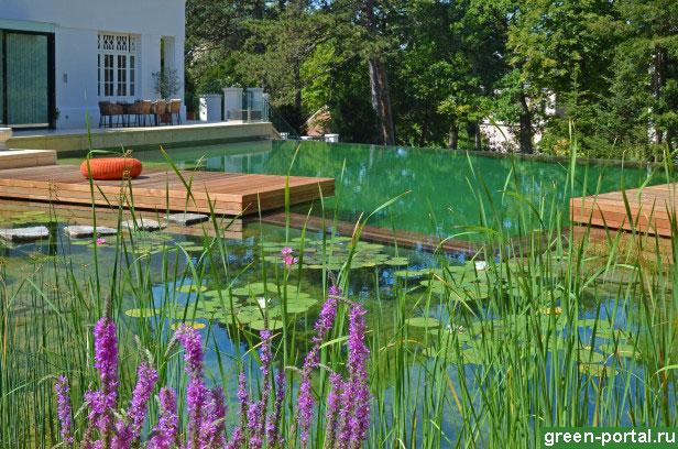 экобассейн