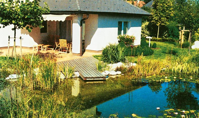 экобассейн строительство