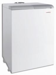 Газовые напольные котлы Protherm 40 ТLO   (медведь)