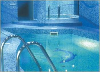 Скиммерные бассейны